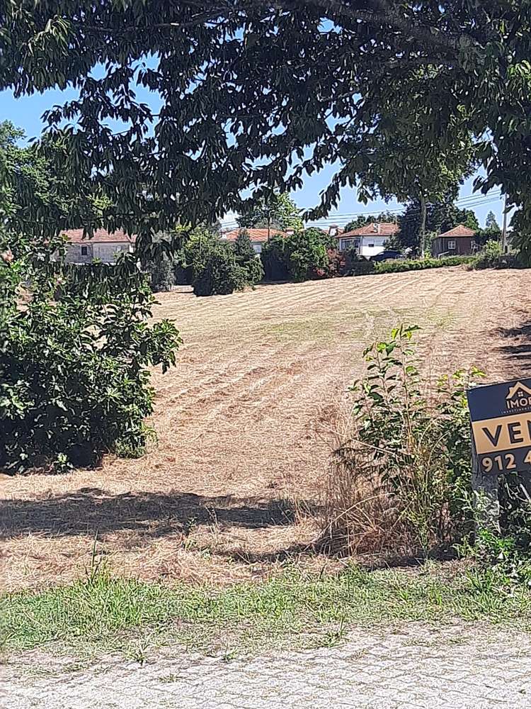 Vende Terreno São Mamede de Recezinhos Penafiel - Grande imagem: 3/8