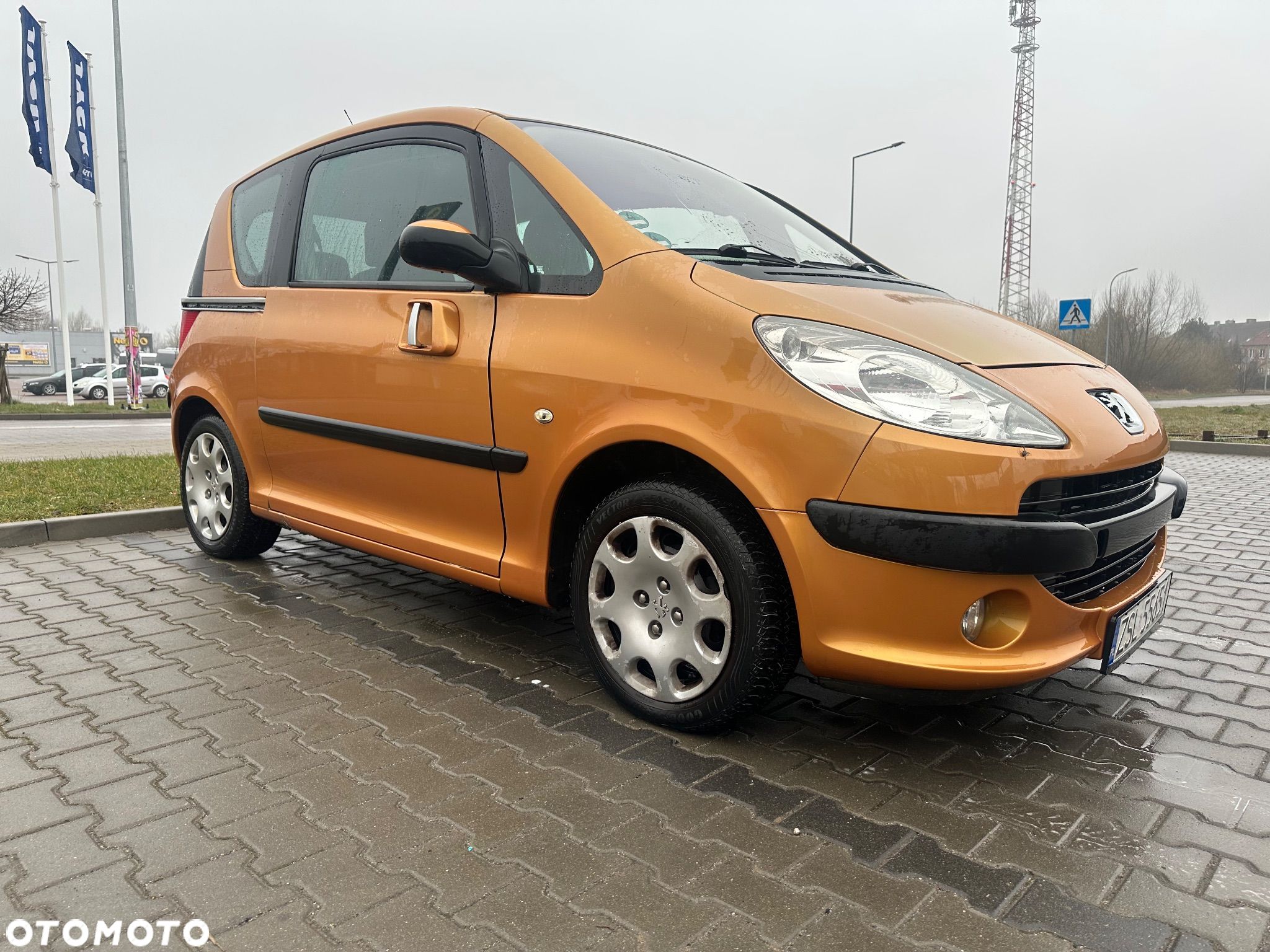 Peugeot 1007 - 1