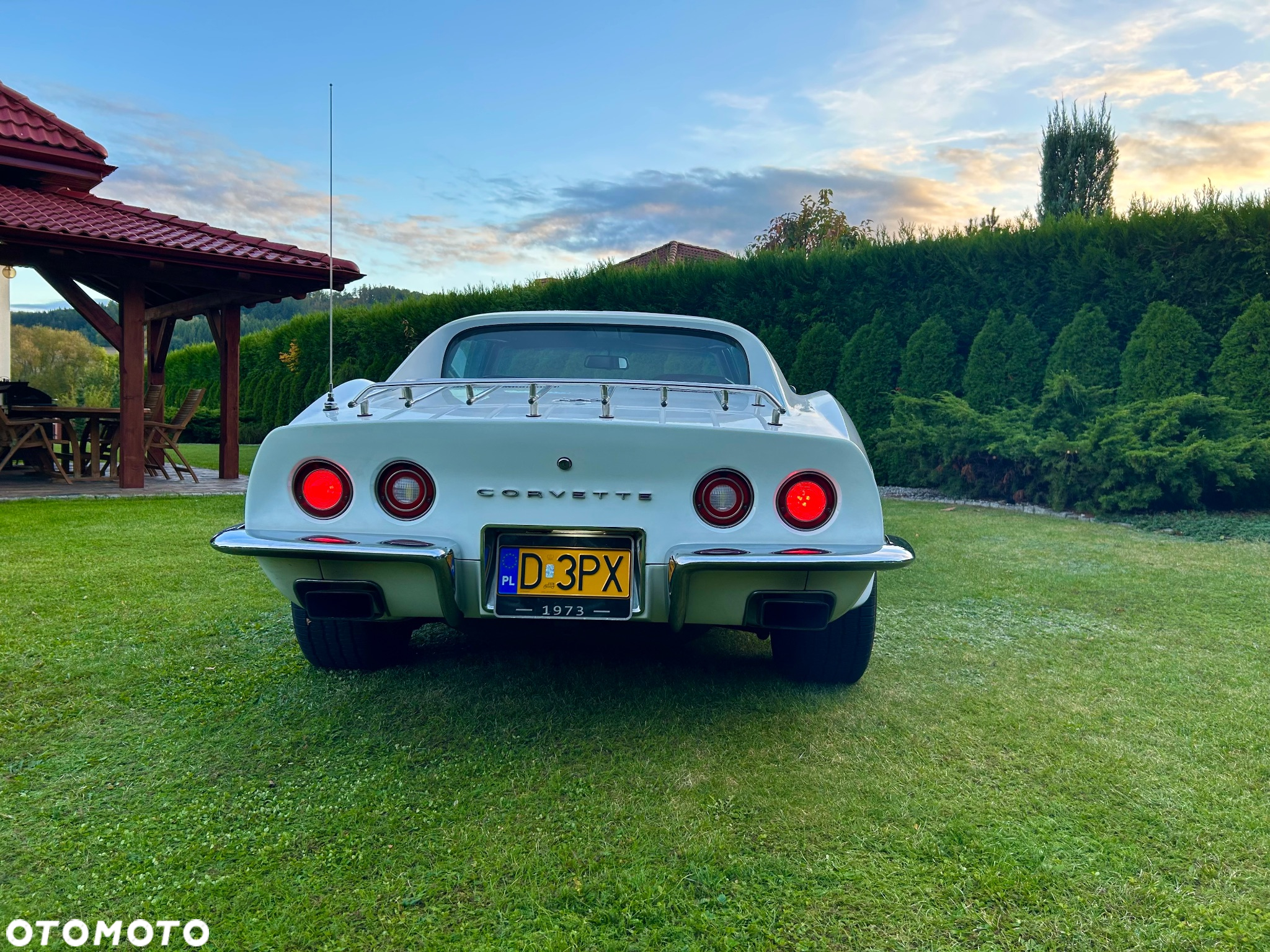Chevrolet Corvette - 13
