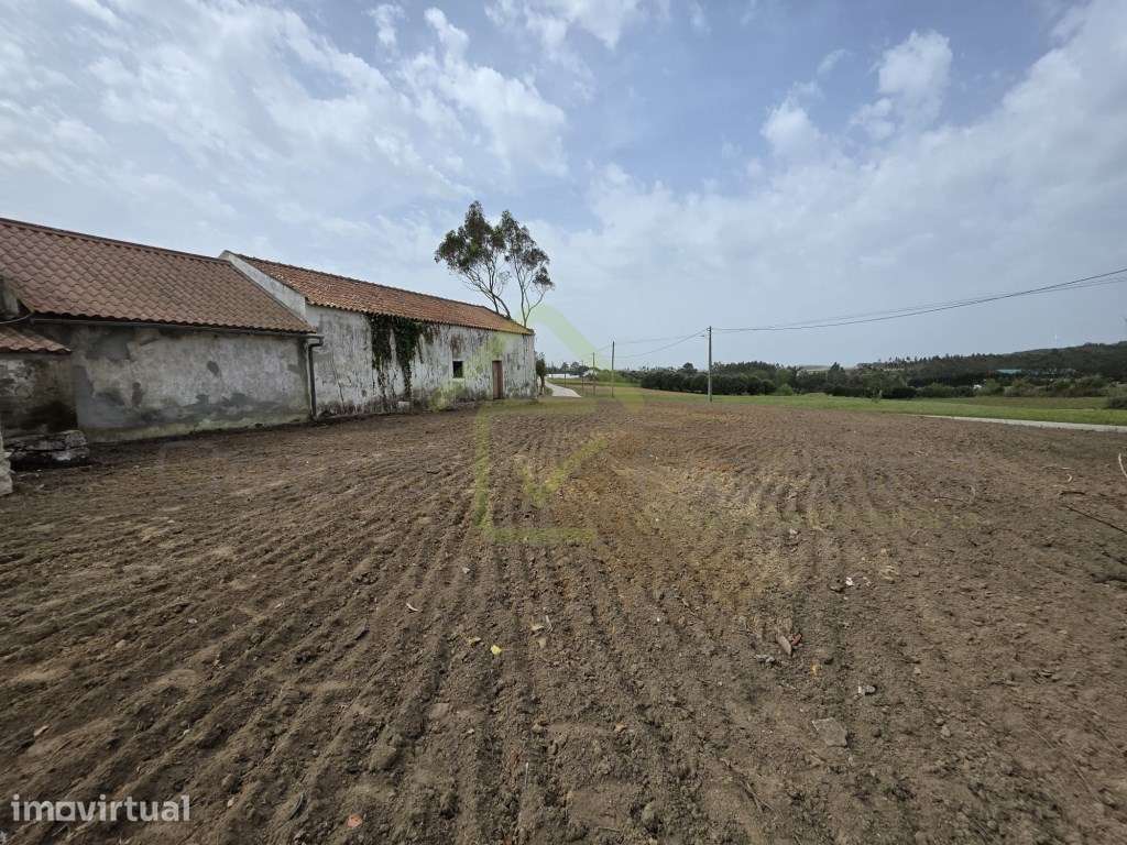 Casa Térrea para recuperar em terreno de 1840m2 - Grande imagem: 4/13
