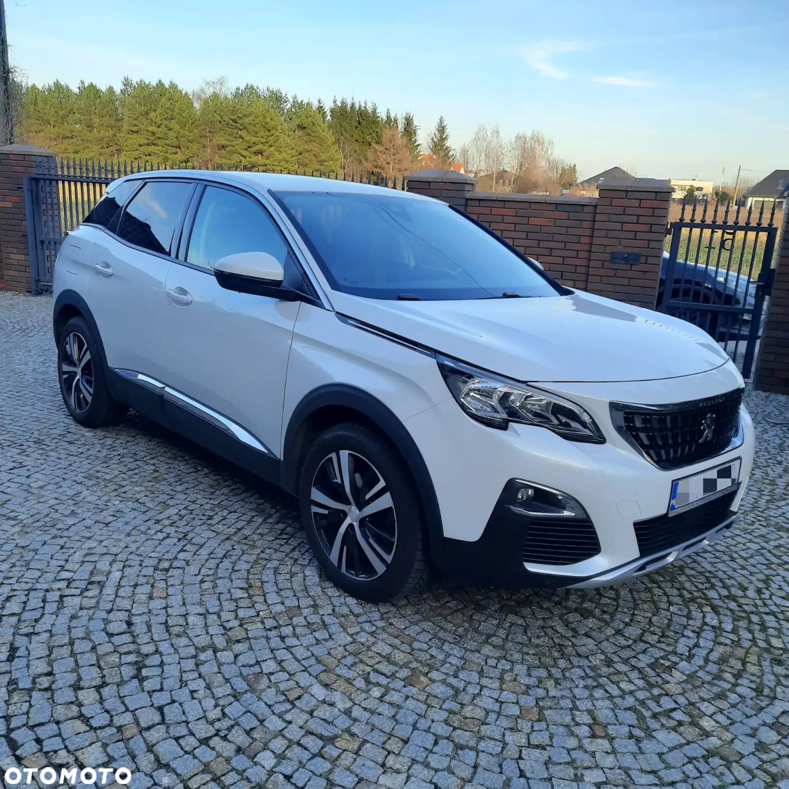 Peugeot 3008 1.5 BlueHDi Allure S&S EAT8 - 1
