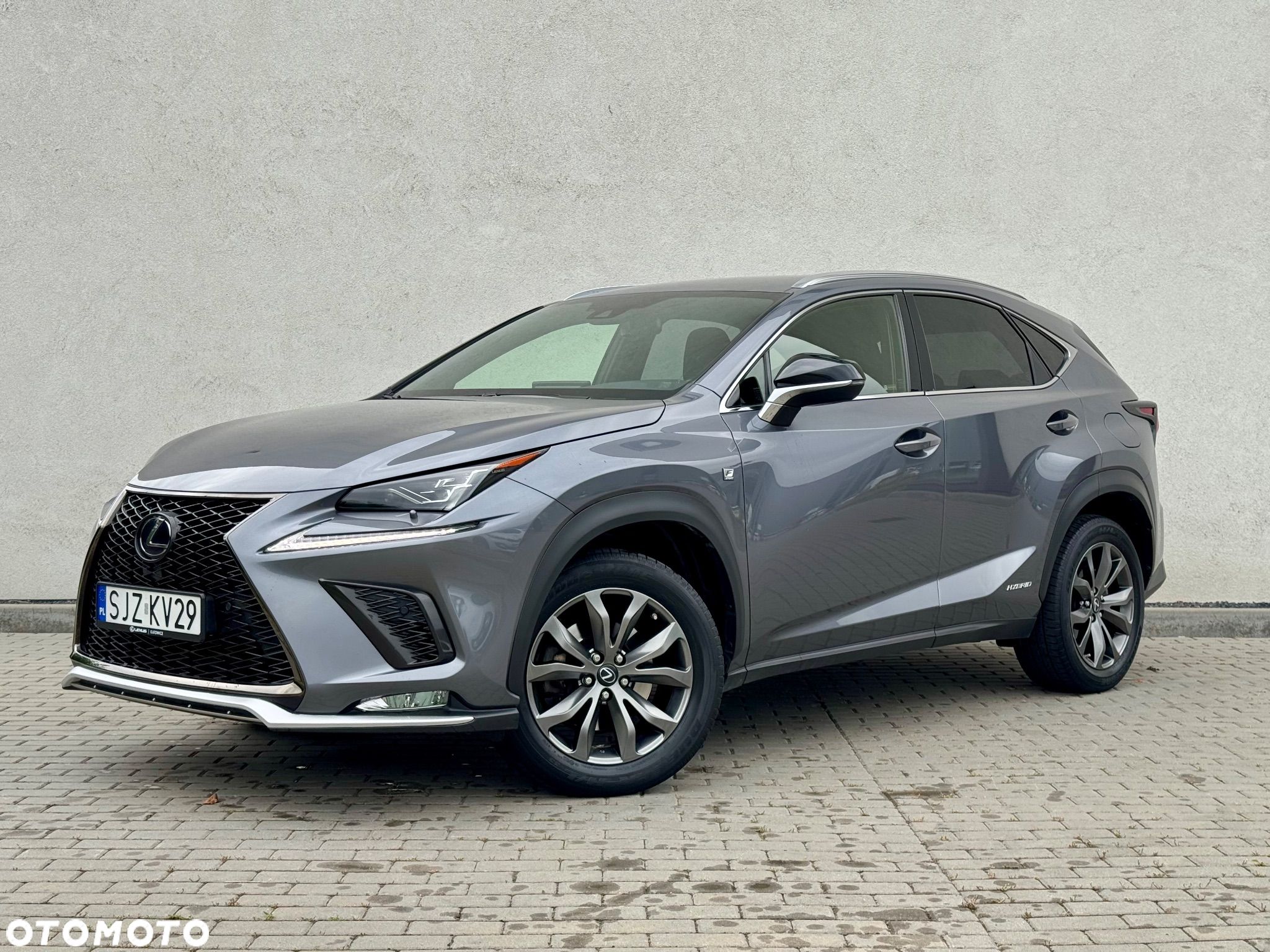 Lexus NX 300h F Sport Edition AWD - 1