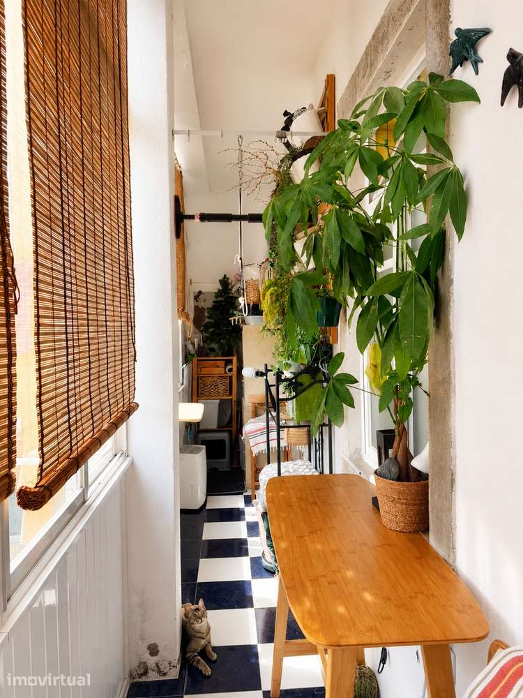 Apartamento T3 na Graça, Lisboa - Grande imagem: 5/12