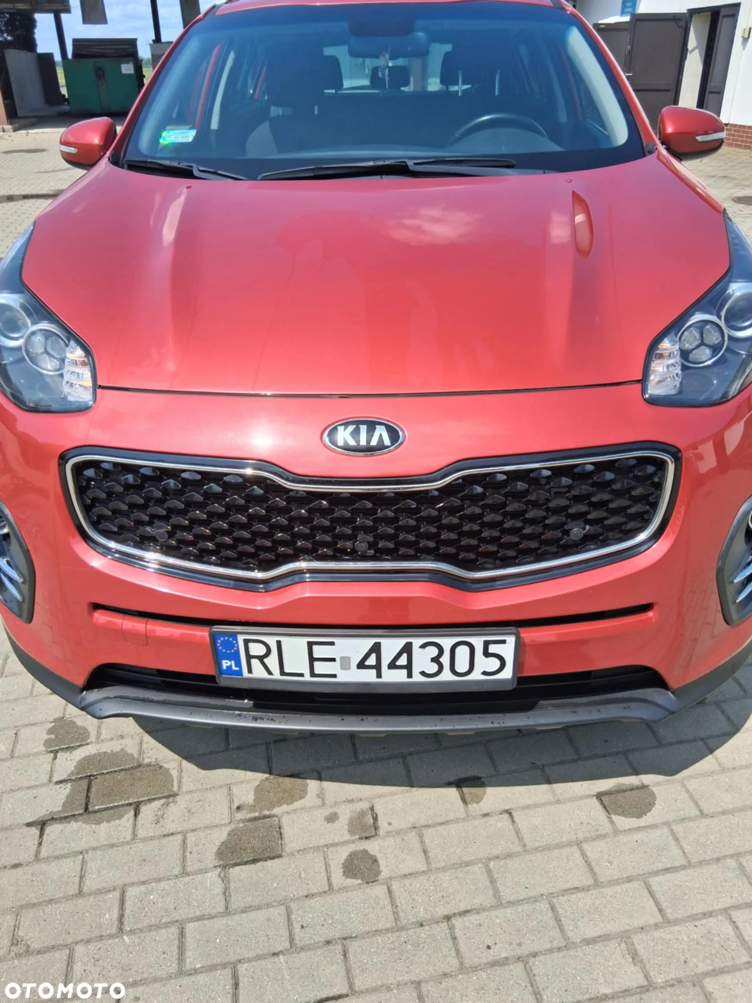 Kia Sportage - 6