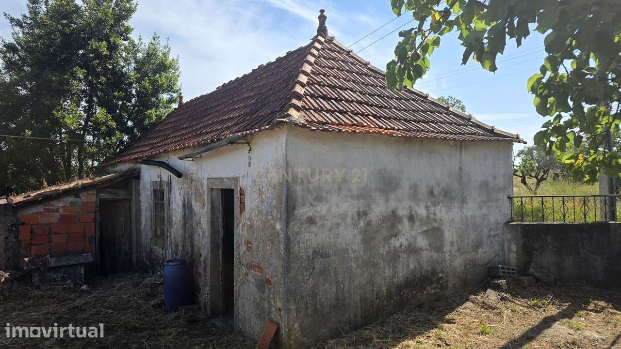 Ruína para renovação completa - Próxima de Pombal - Grande imagem: 4/27