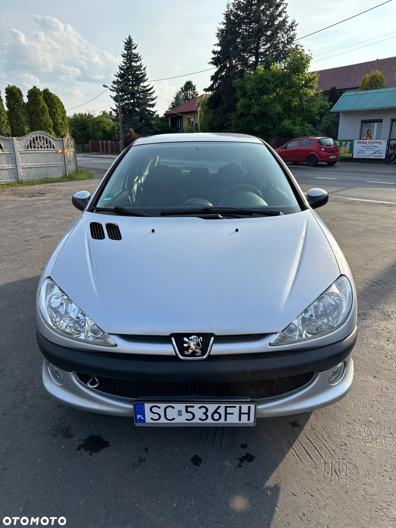 Peugeot 206 - 1