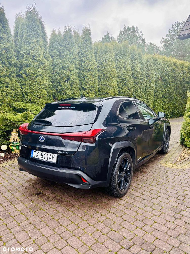 Lexus UX 250h GPF F Impression 2WD - 8