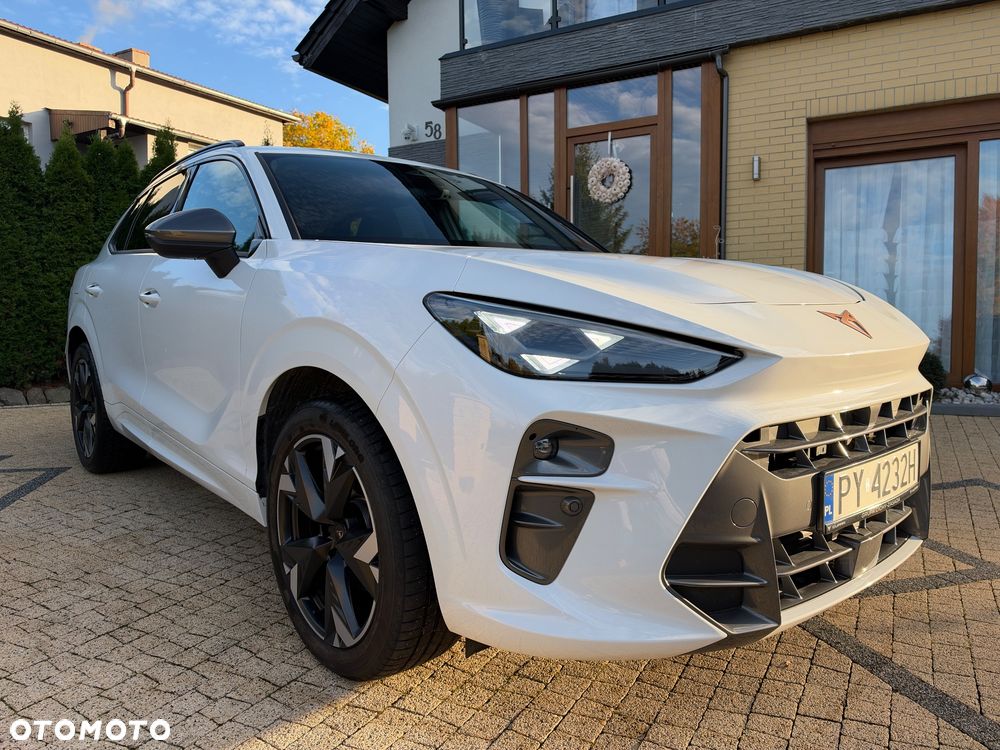 Cupra Terramar