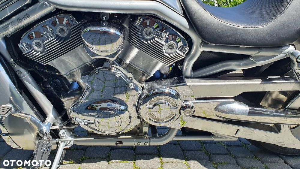 Harley-Davidson V-Rod Street Rod - 1