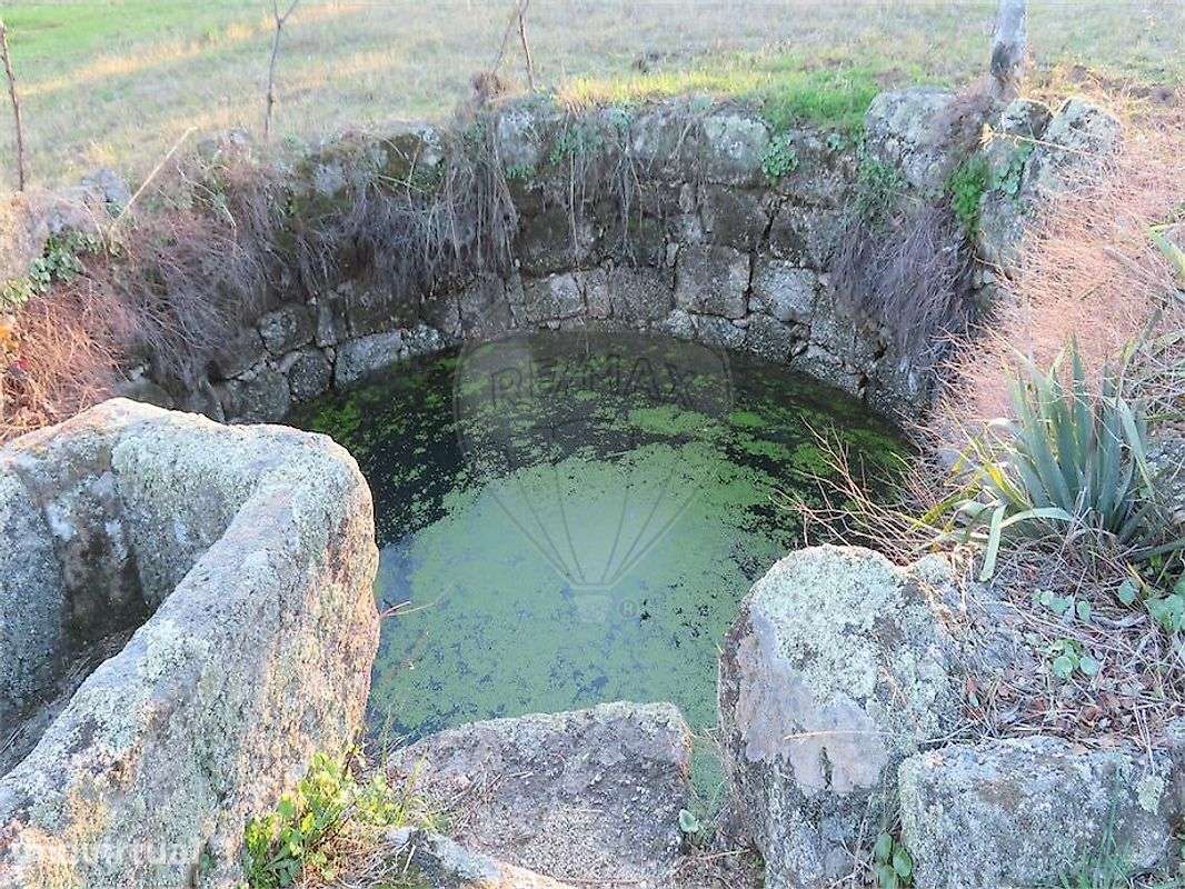 Quinta  para venda - Grande imagem: 4/38