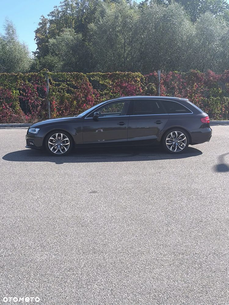 Audi A4 - 18