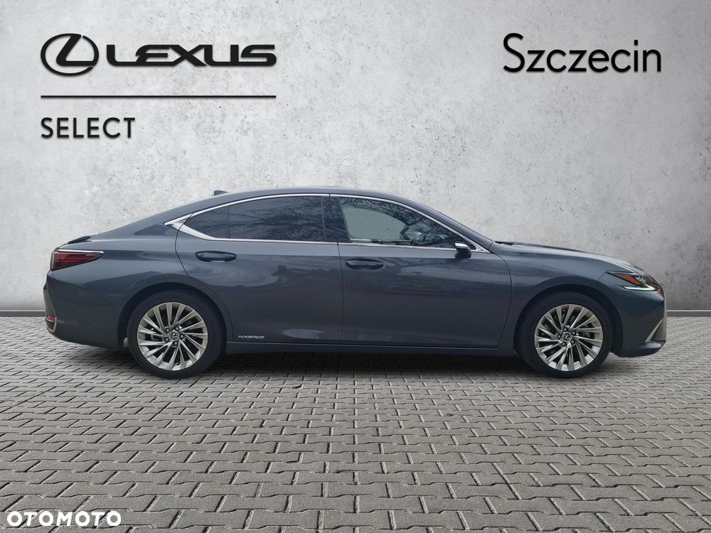 Lexus ES 300h Omotenashi - 6