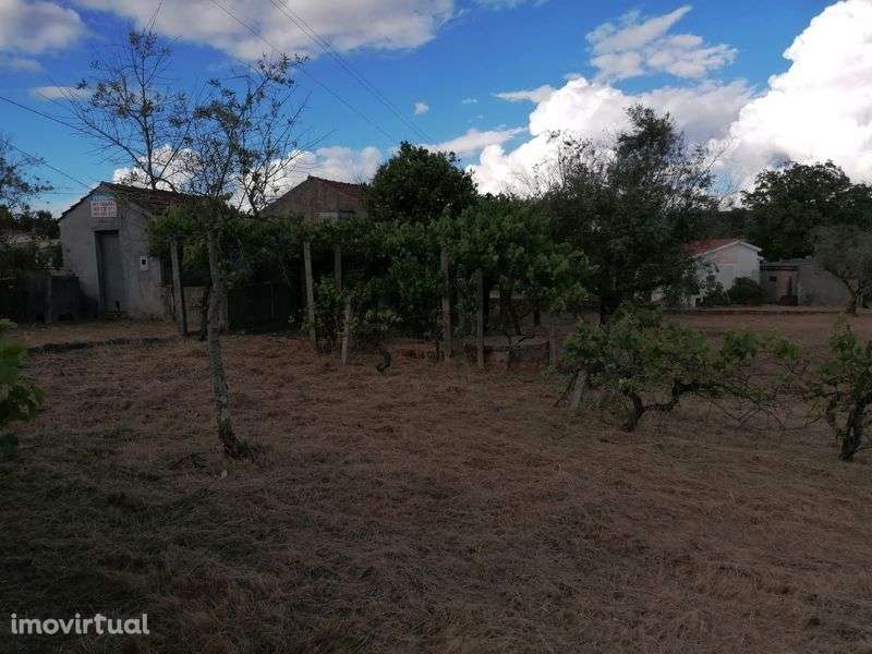 Quinta em Galizes - Grande imagem: 2/8