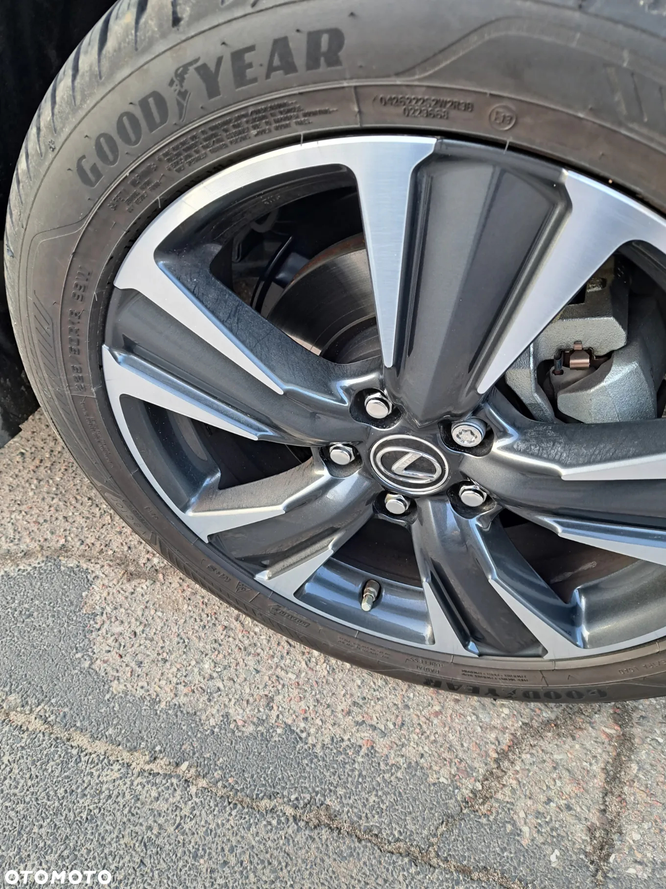 Lexus UX 250h GPF Elegance 2WD - 6