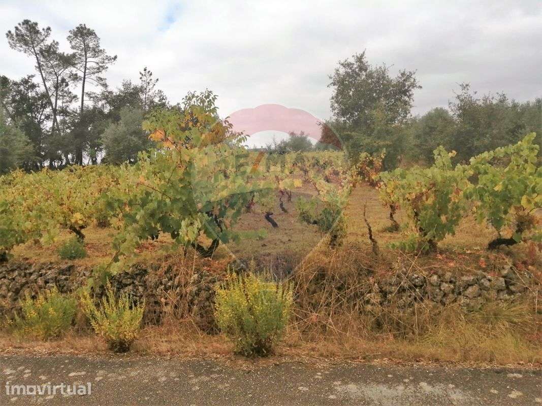 Terreno  para venda - Grande imagem: 4/6