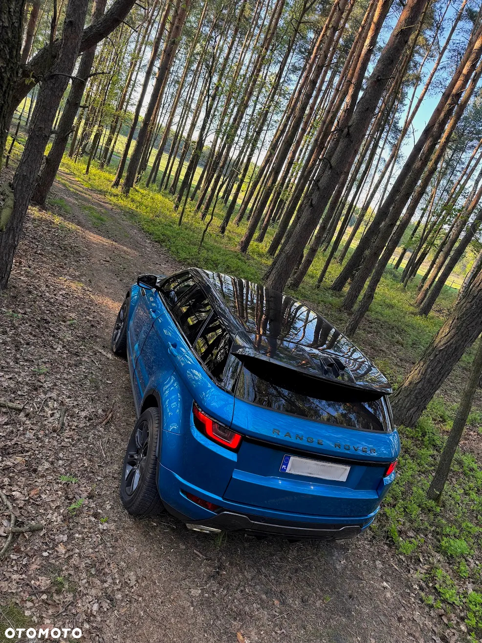 Land Rover Range Rover Evoque 2.0TD4 SE Dynamic Special Edition - 8
