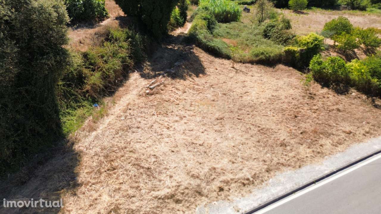 Terreno para arrendamento em Santorum, Pombal - Grande imagem: 4/12