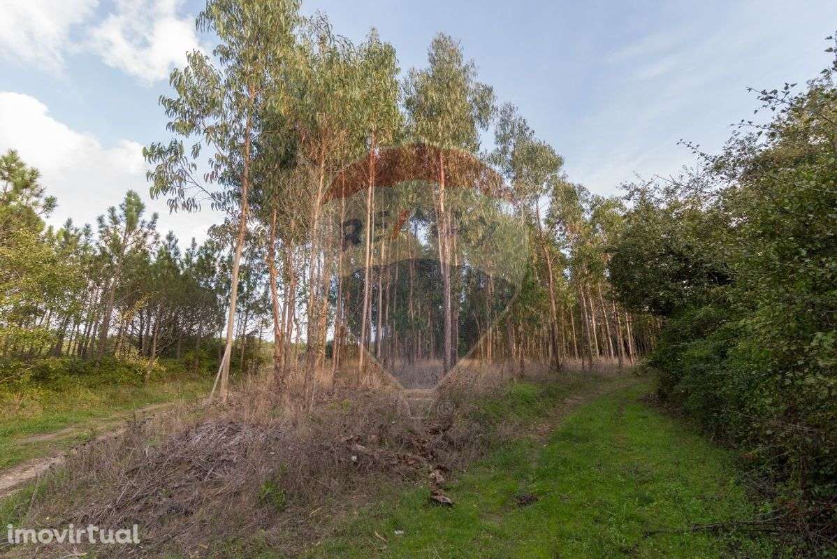 Terreno  para venda - Grande imagem: 3/13