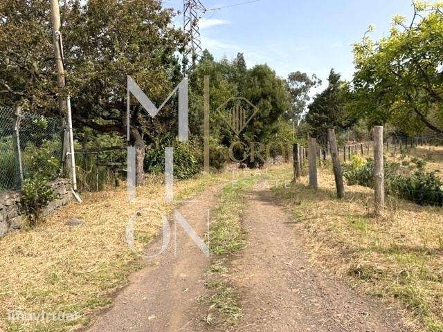 Uma Herdade única na Madeira. - Grande imagem: 5/43