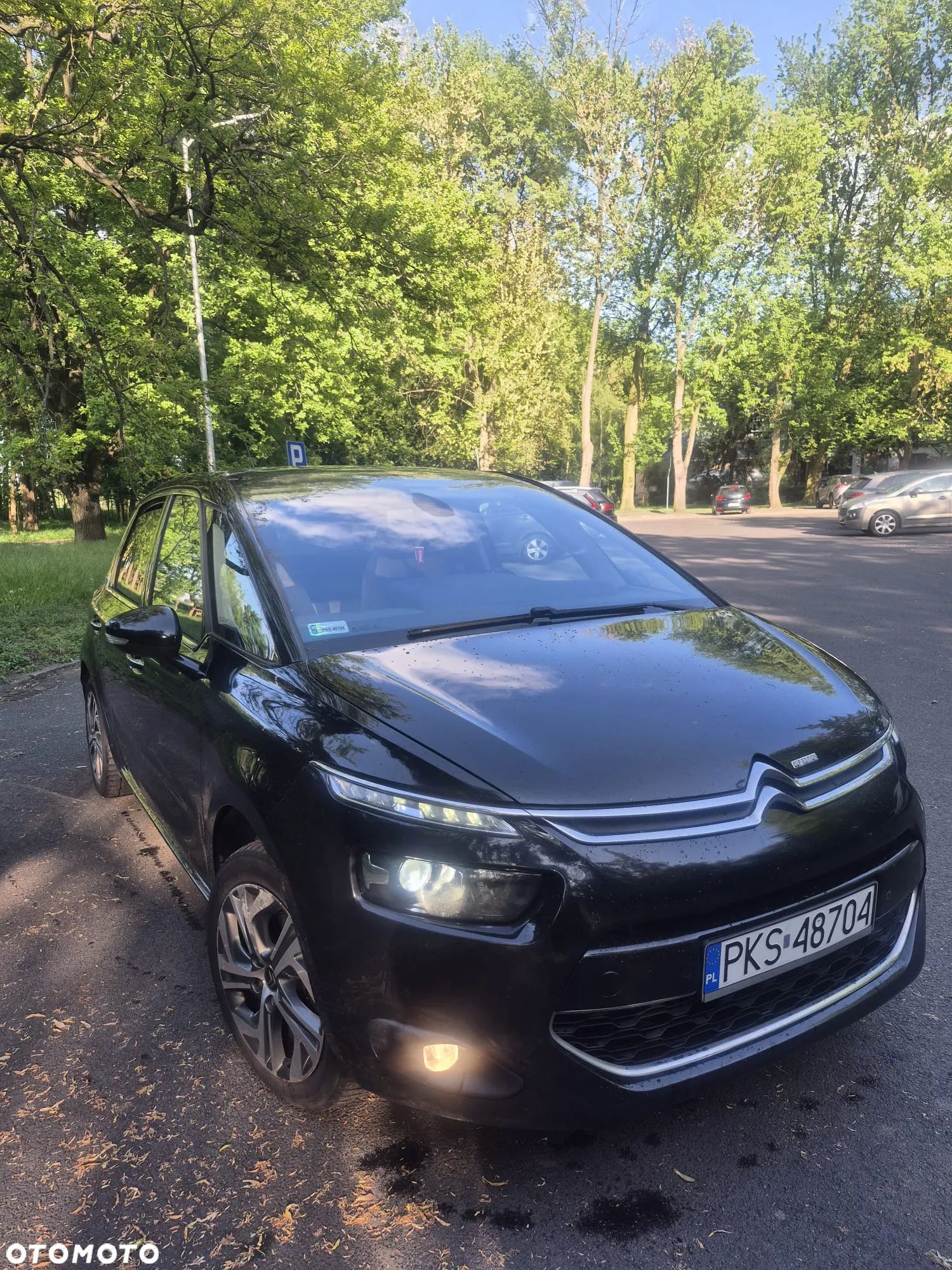 Citroën C4 Picasso - 1
