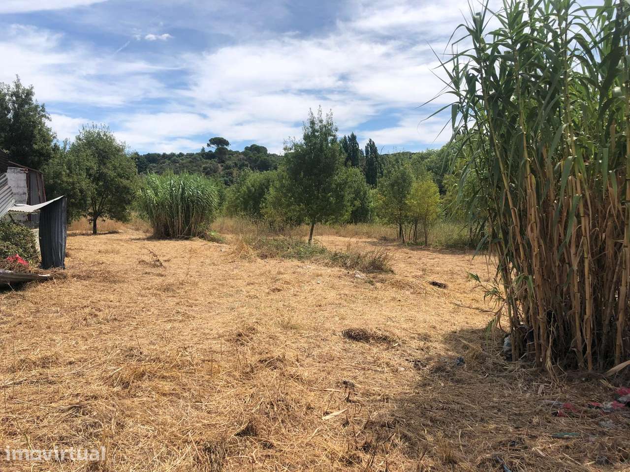 Terreno, 21 836 m², Torres Novas (Santa Maria, Salvador e Santiago) - Grande imagem: 2/4