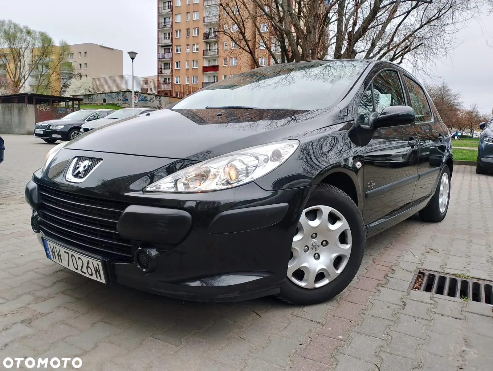 Peugeot 307 1.4 Oxygene - 3