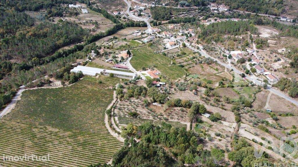 Terreno em Germil de 11374,00 m2 - Grande imagem: 4/5