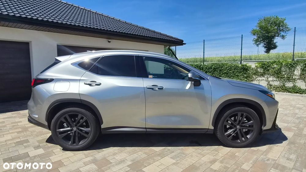 Lexus NX - 10