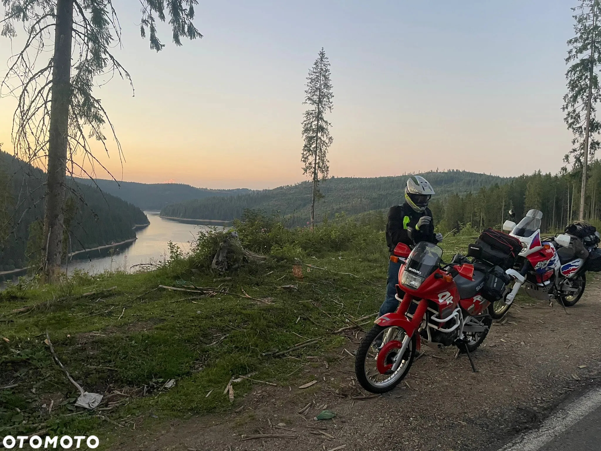 Suzuki DR