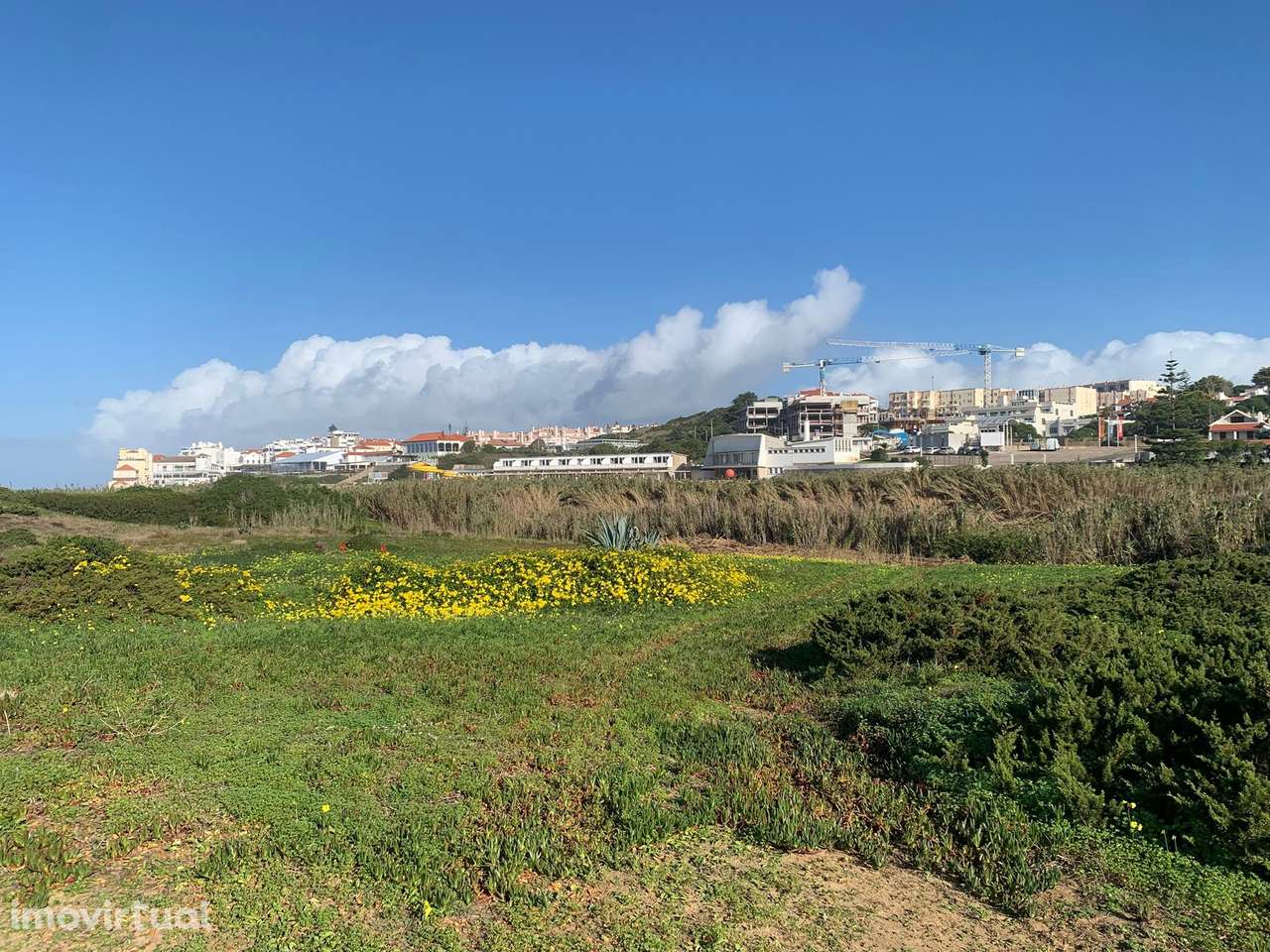 Terreno  Venda em Colares,Sintra - Grande imagem: 5/14