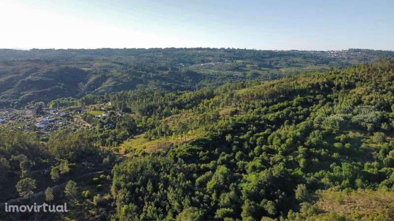 Terreno com 16 hectares para aviários, vinha ou paineis fotovoltaicos - Grande imagem: 3/11