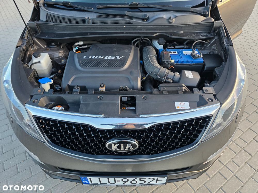 Kia Sportage - 23