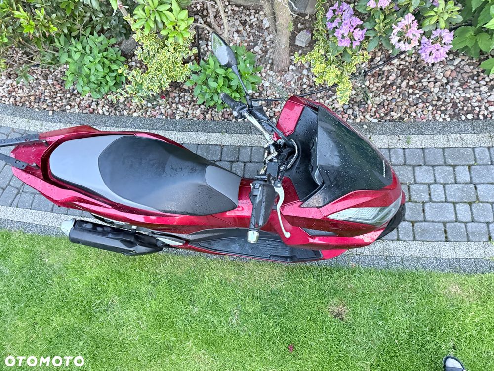 Honda PCX - 6