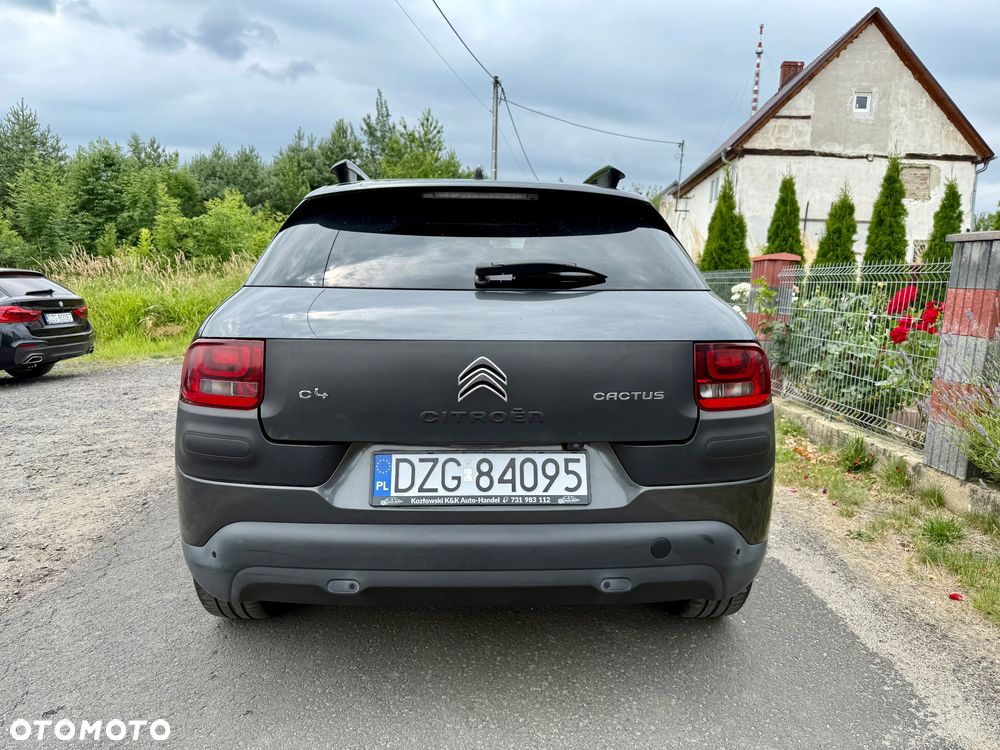 Citroën C4 Cactus 1.2 PureTech Shine Edition S&S ETG - 10