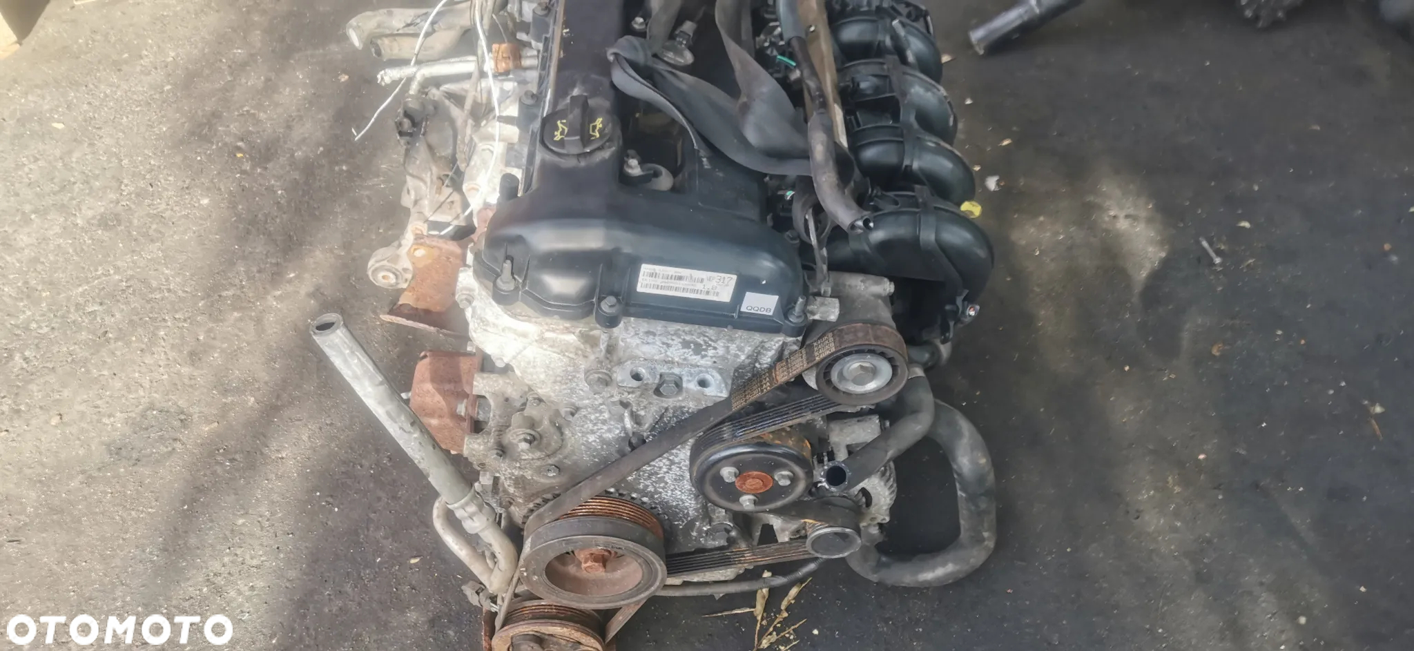 SILNIK Ford Mazda VOLVO 1.8 16v 125KM QQDB QQDA l823 KOMPLETNY - 3