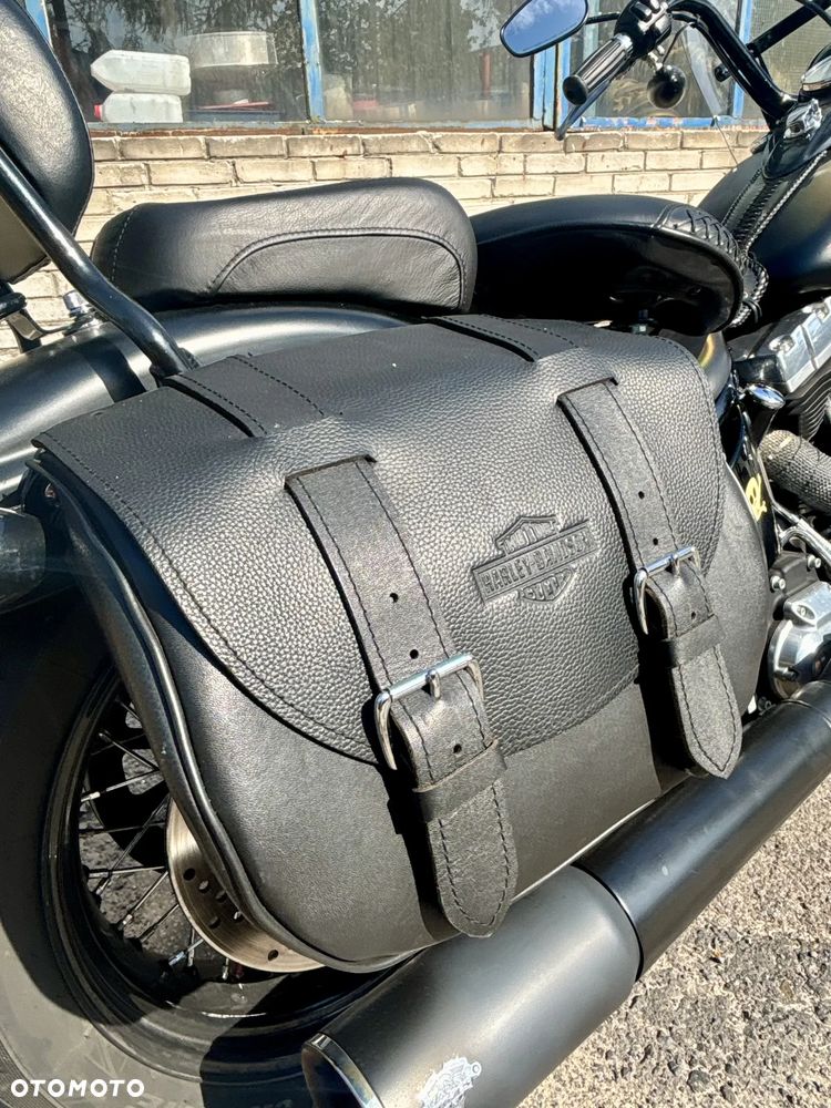 Harley-Davidson Softail Cross Bones - 16
