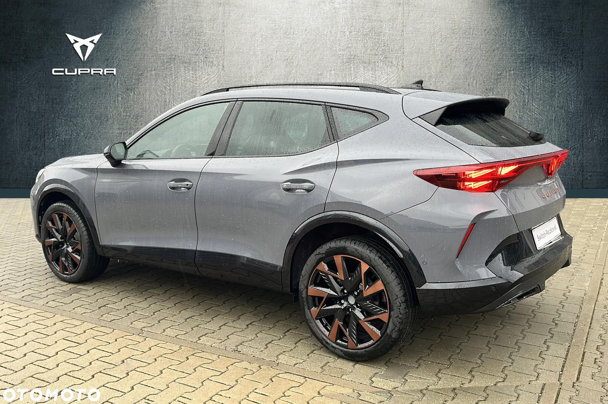 Cupra Formentor 2.0 TSI 4Drive DSG - 3