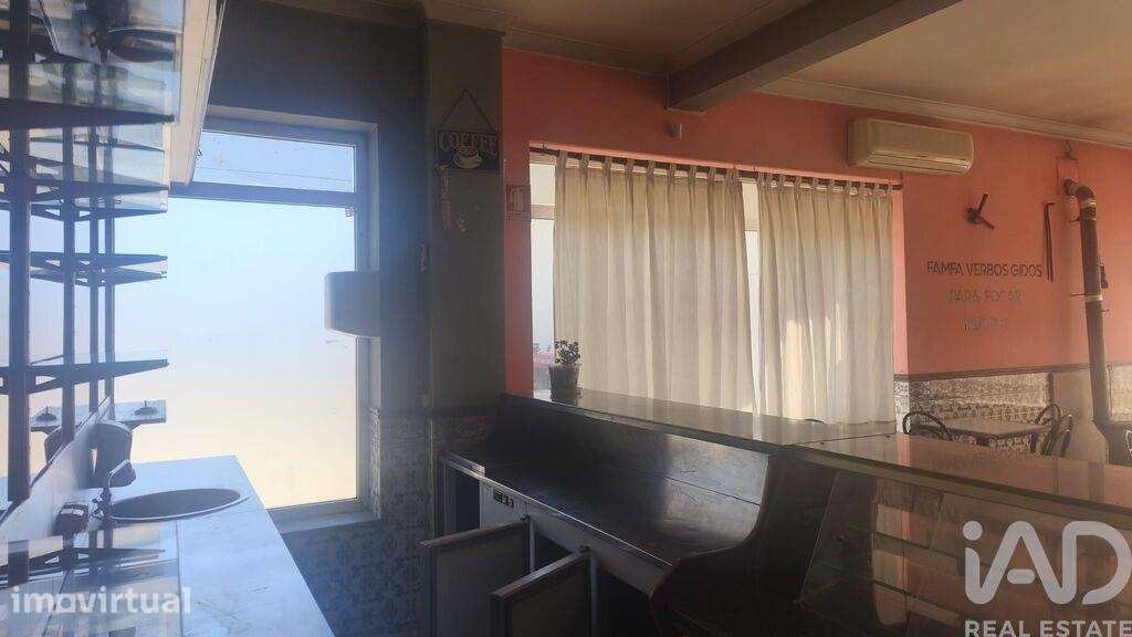 Loja / Estabelecimento Comercial em Santa Ovaia e Vila Pouca da Beira - Grande imagem: 2/22