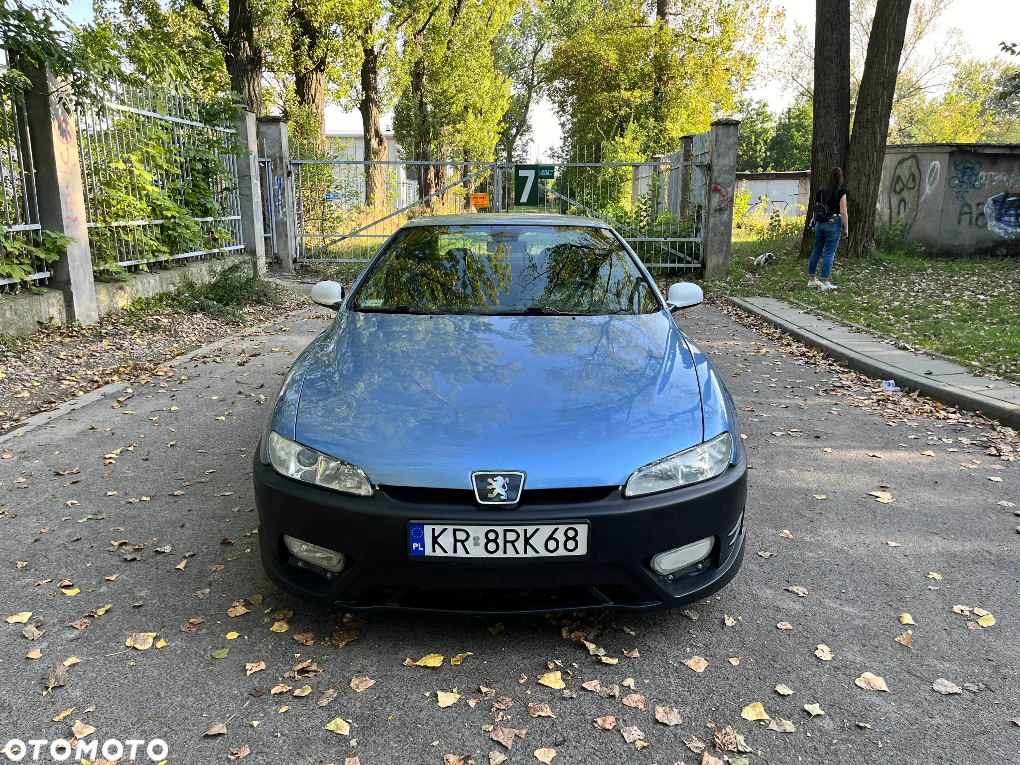 Peugeot 406 2.0 - 2