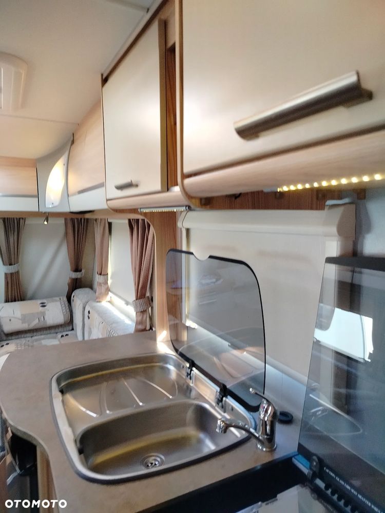 Coachman - 29