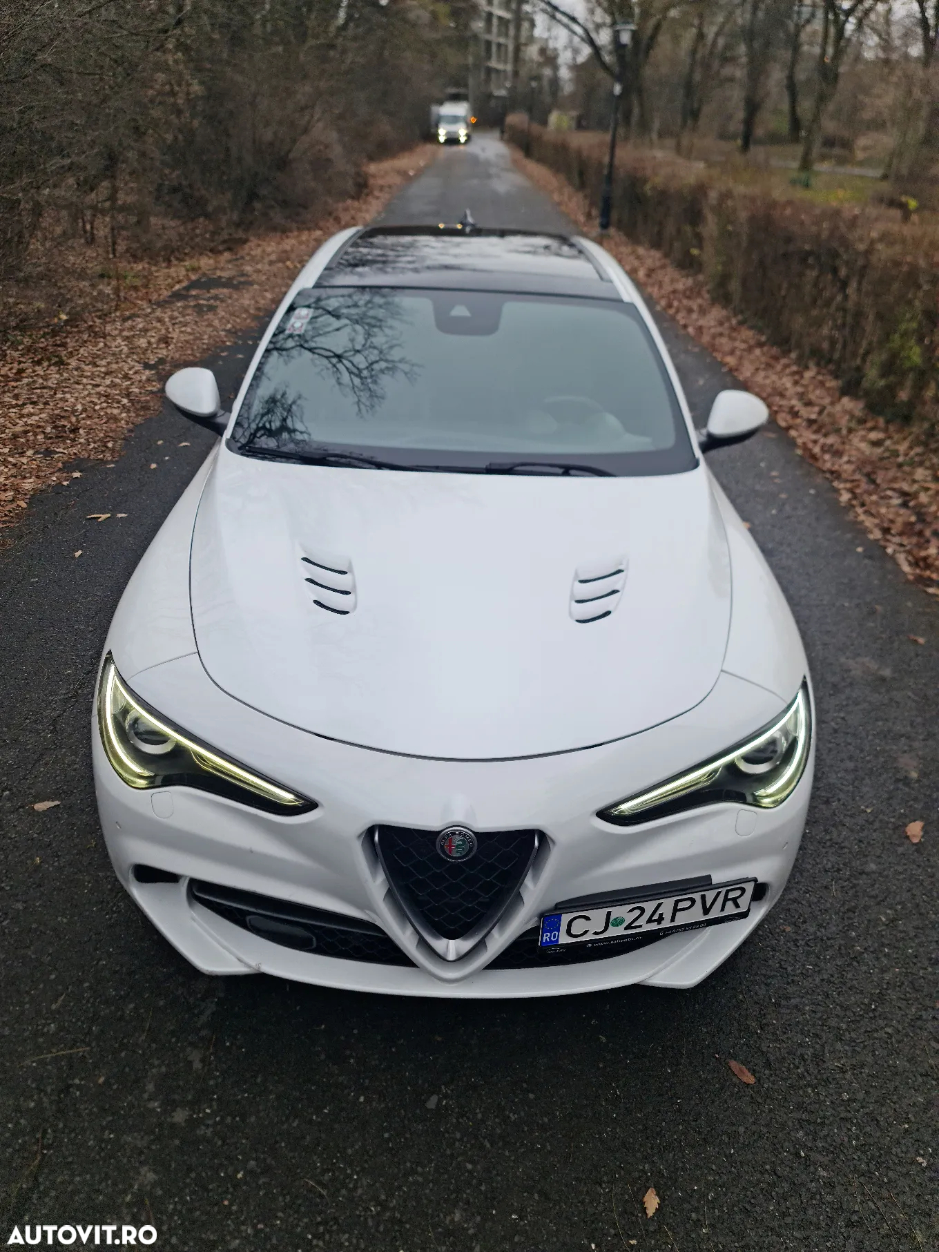 Alfa Romeo Stelvio 2.9 V6 Turbo AWD AT8 Quadrifoglio - 11