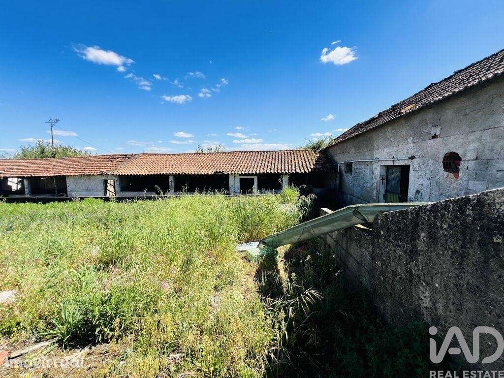 Casa / Villa T8 em Seiça de 1243 m2 - Grande imagem: 4/35