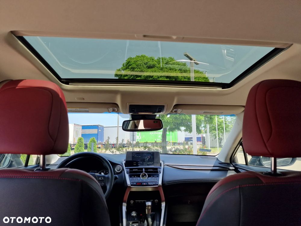 Lexus NX 300 Elegance Optimum AWD - 14