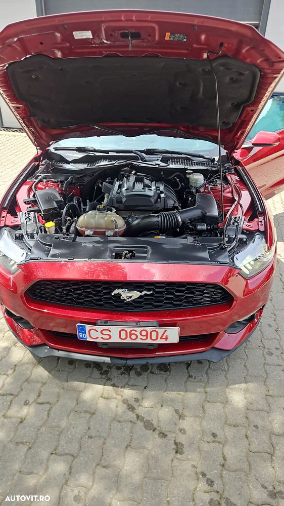 Ford Mustang - 6