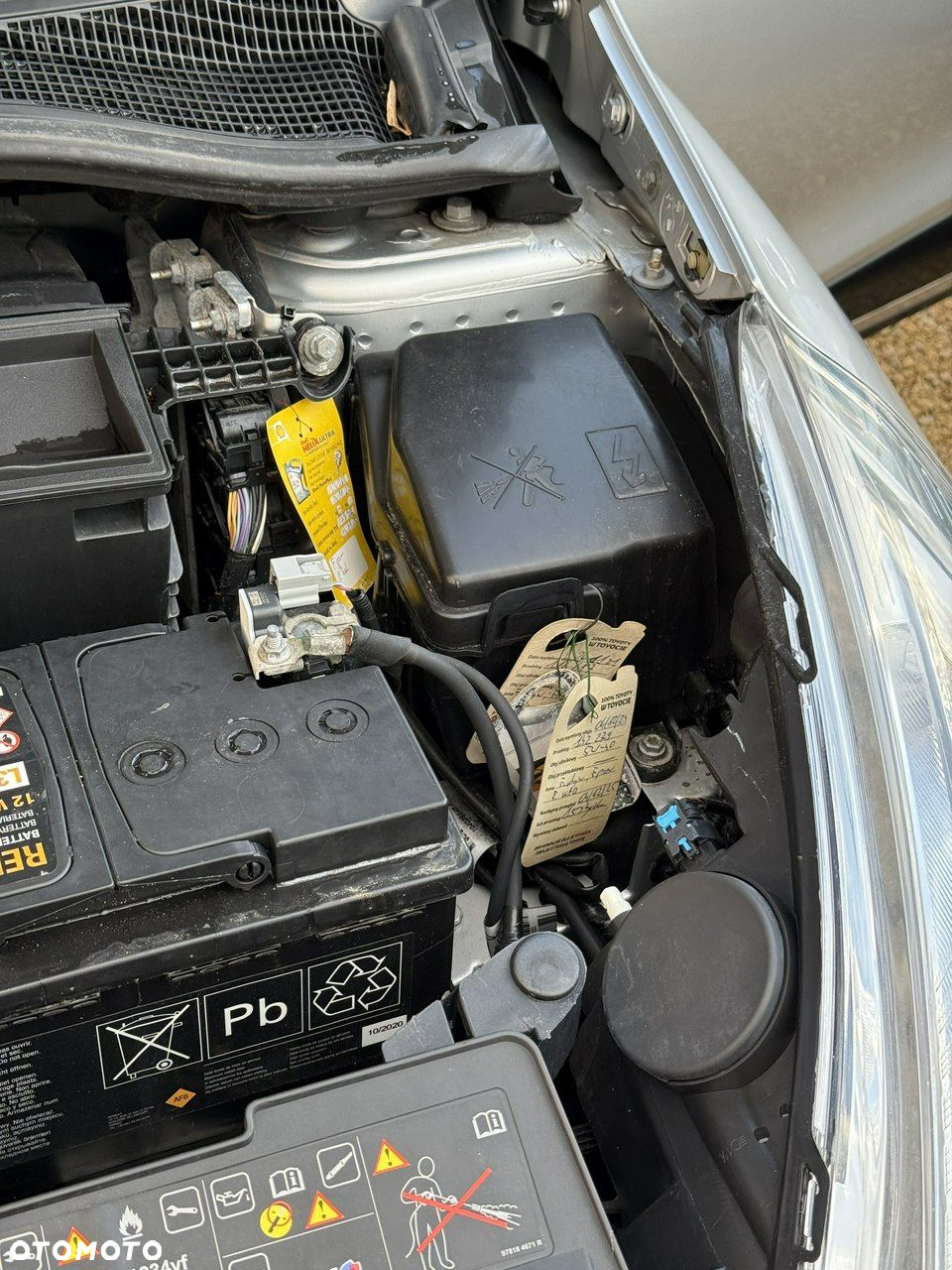 Renault Clio - 32