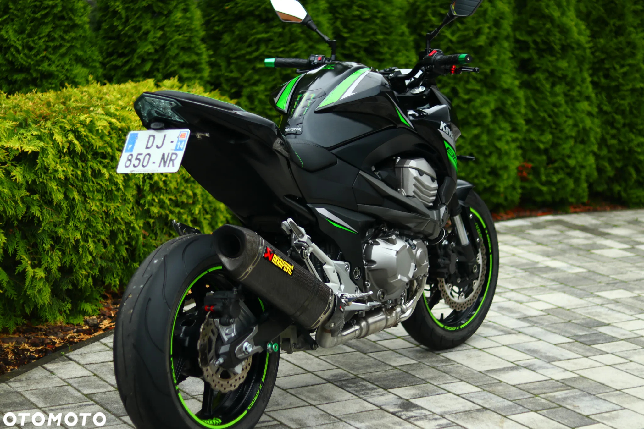 Kawasaki Z - 6