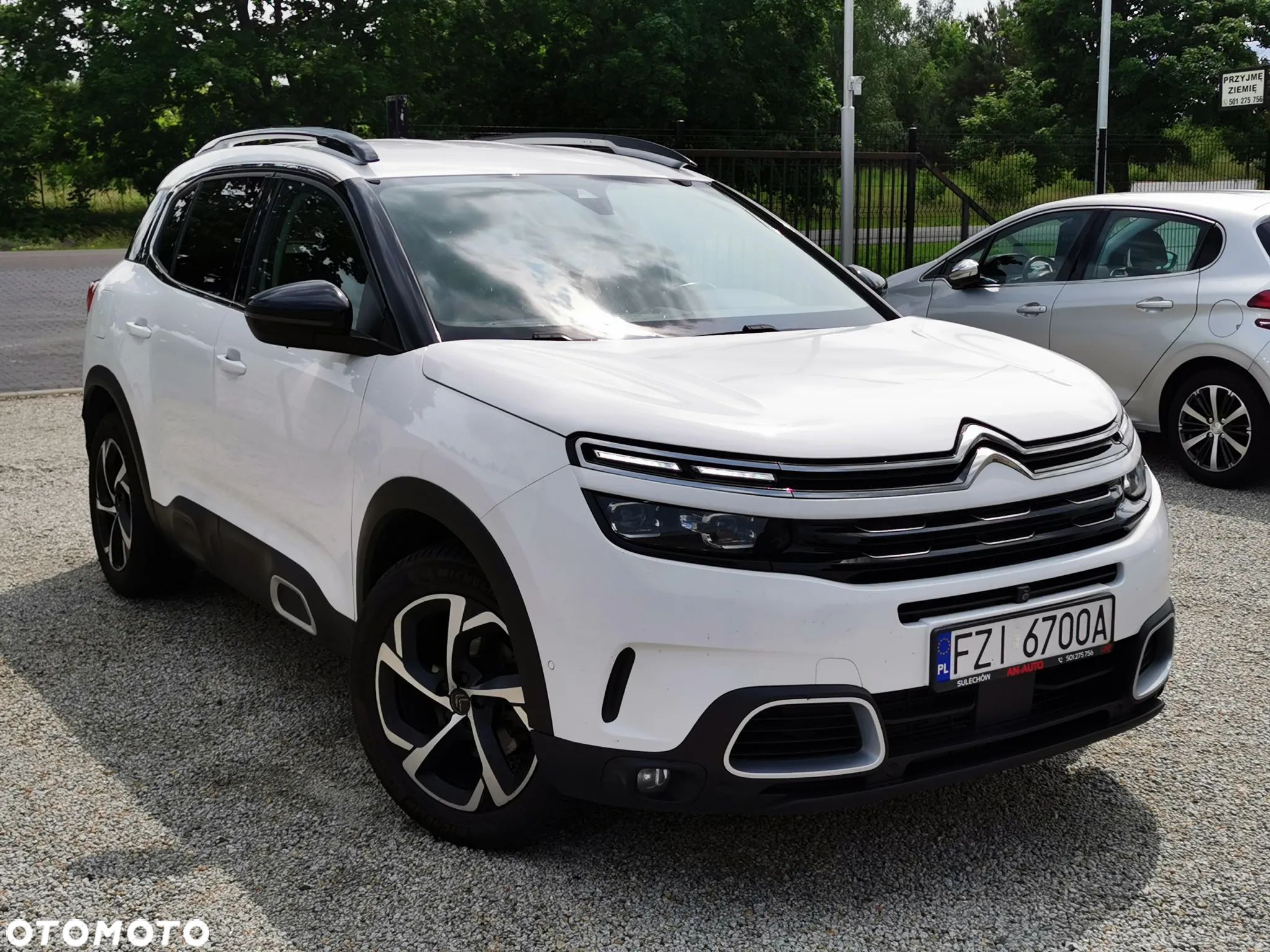 Citroën C5 Aircross BlueHDI 130 S&S LIVE - 1