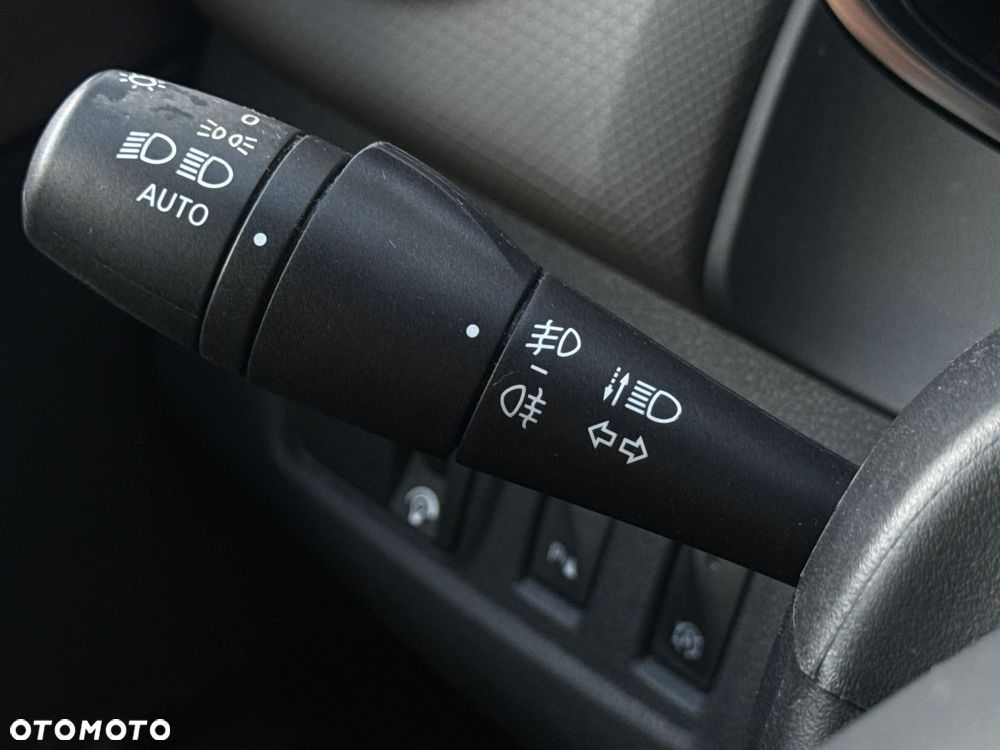 Renault Clio - 29