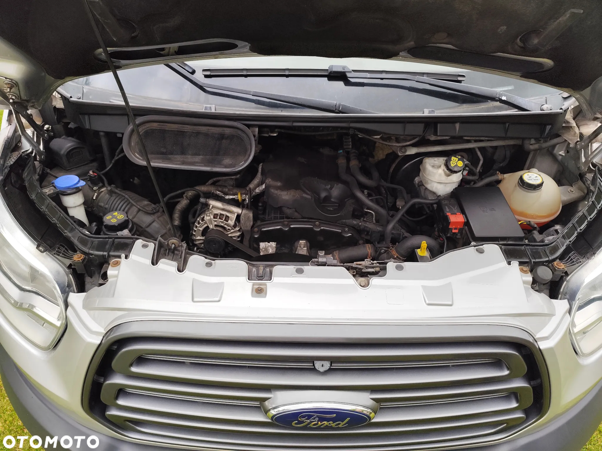 Ford Transit - 20