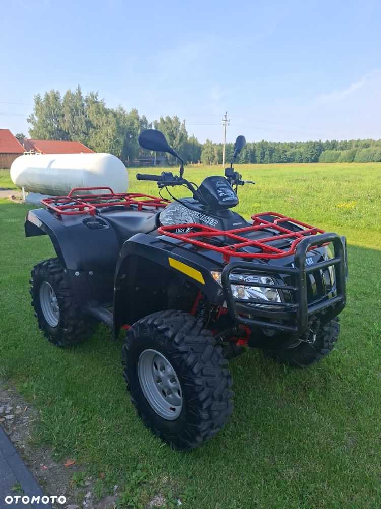 Arctic Cat Inny - 1